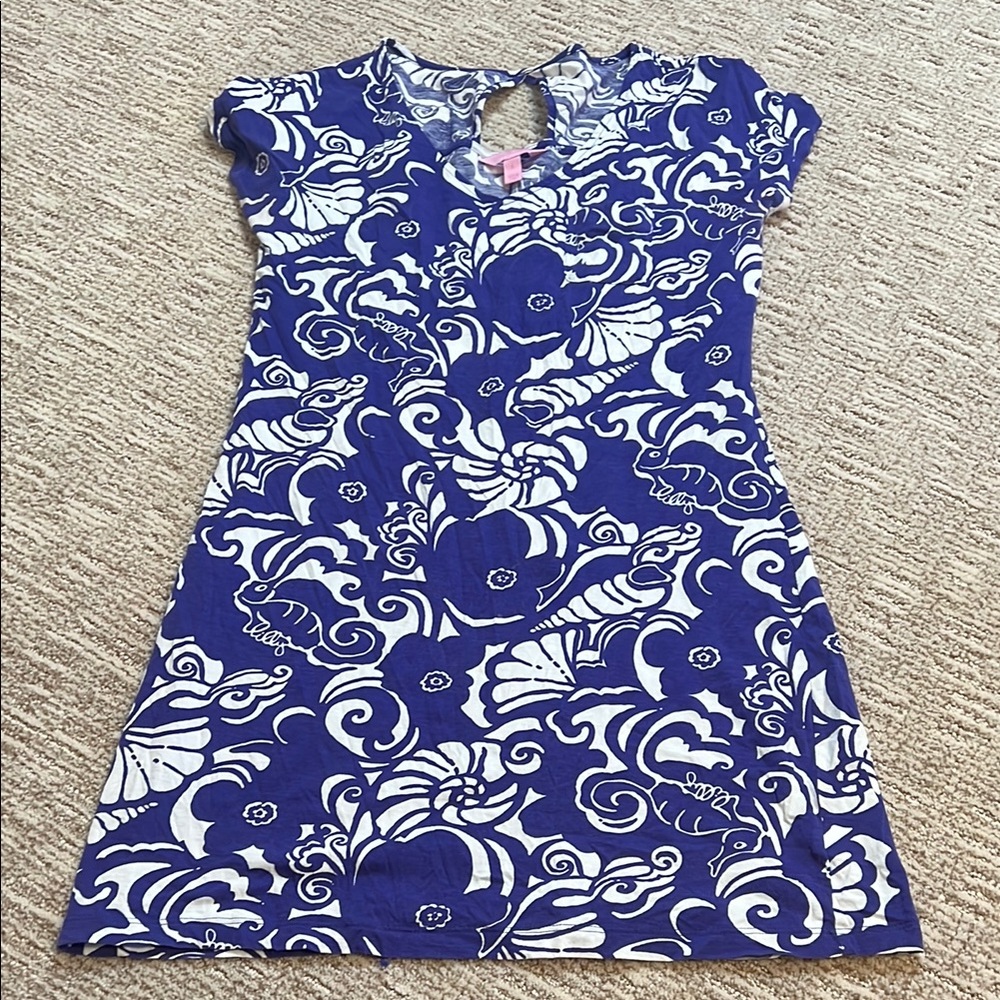 Blue and White Lily Pulitzer Dress